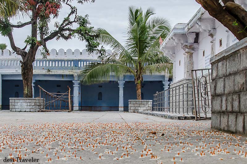 Fragrant orange Harsingar or Parijat floweres carpet in ammapalle temple courtyard