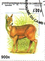 Postage Stamps - Cambodia