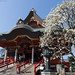 古寺に詣でる - Old temple in spring -