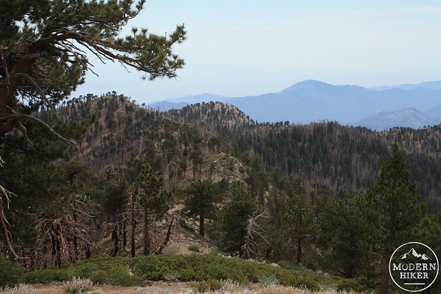 Throop Peak and Mount Hawkins 31