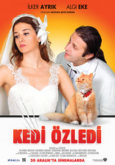 Kedi Özledi (2013)