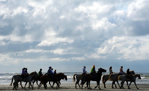 Horses and riders walking along the Pacific coast beach, cloudy day, mixed with sun, Ocean Shores, Washington, USA by Wonderlane
