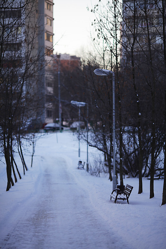 Benches_in_the_winter_2014(02)