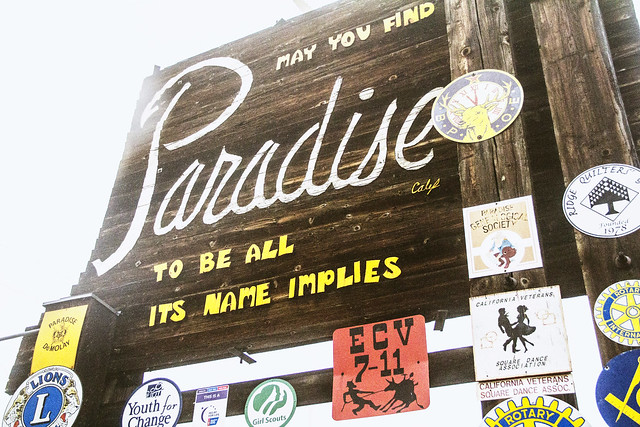 6/52 *Paradise*