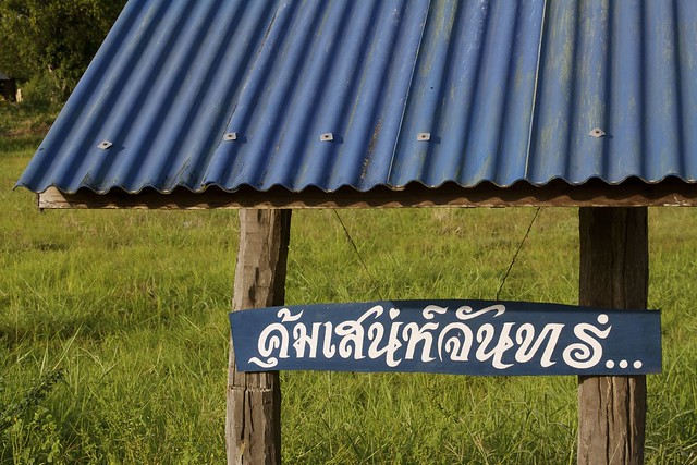 Lettering in the country style (ลูกทุ่ง).