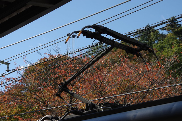 13 Nov 2013 : Mt. Takao photo