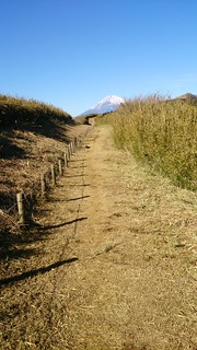 山伏峠近くより富士山