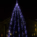 TCD Christmas Tree
