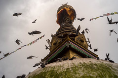 Kathmandu 2013