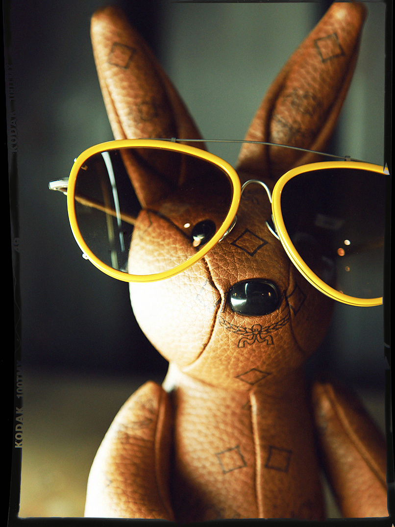 bunny in shades