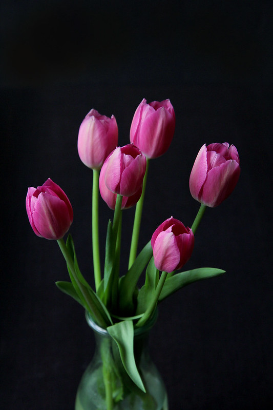 Dec-tulips