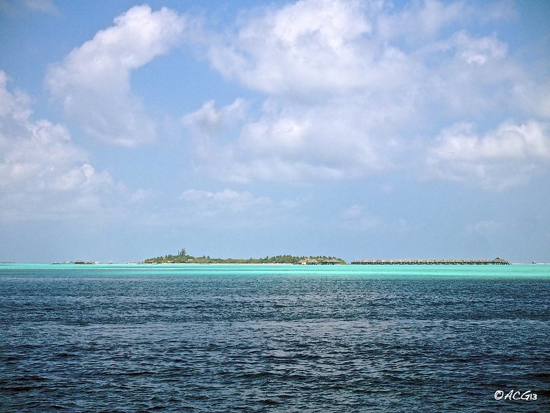 7 días de crucero buceando en  los mejores puntos del pais. 7 días inmejorables - ¡Maldivian Dream! (22)