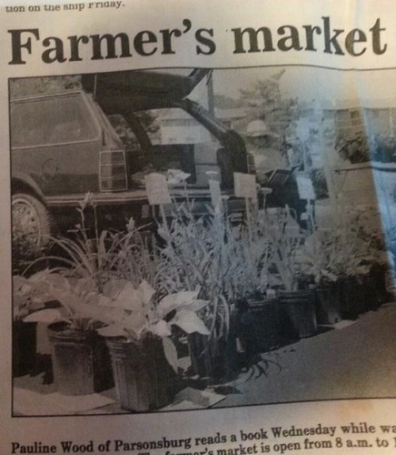 My mother, Pauline Wood, started selling plants at the farmers market from the back of her station wagon in 1986.