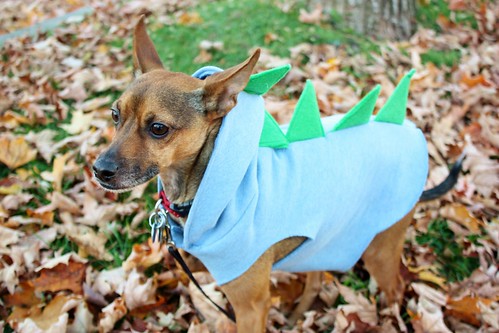 dog-dinosaur-costume