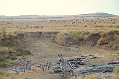 2013 Kenya