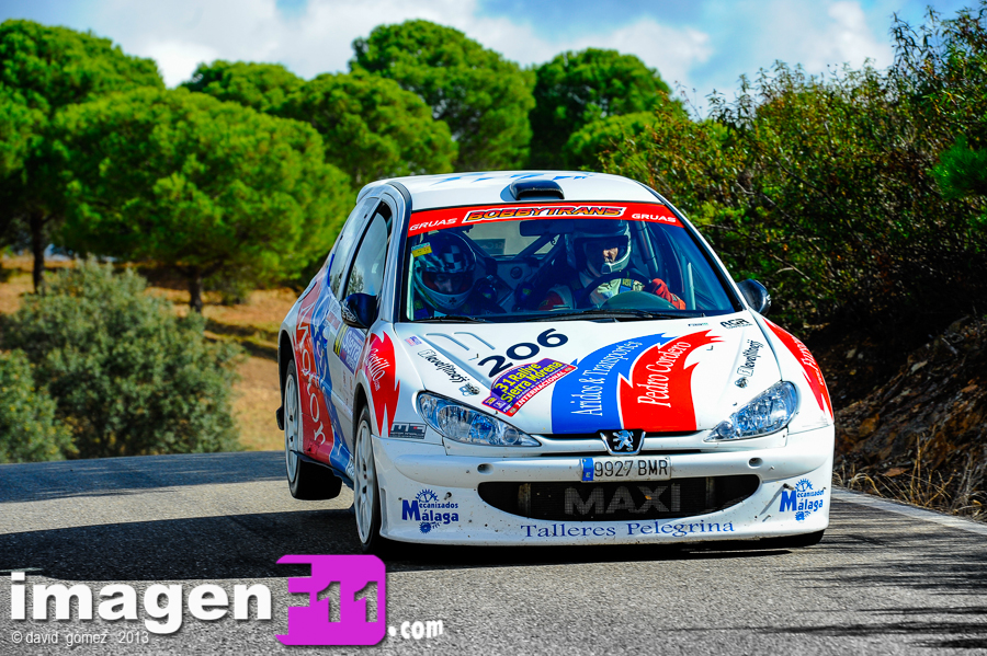 Pedro Cordero, Peugeot 206 Maxi, Rallye Sierra Morena 2013