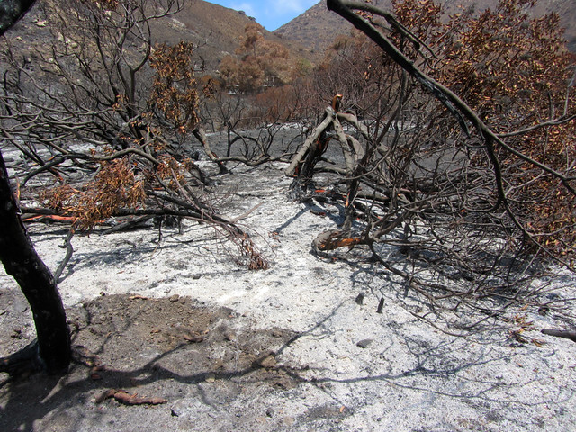 point mugu state park, after the fire