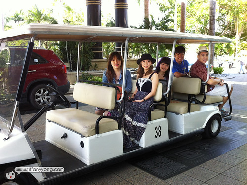 empire hotel buggy ride