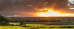 Nottingham, Shelford Tops Sunset 15-06-2013