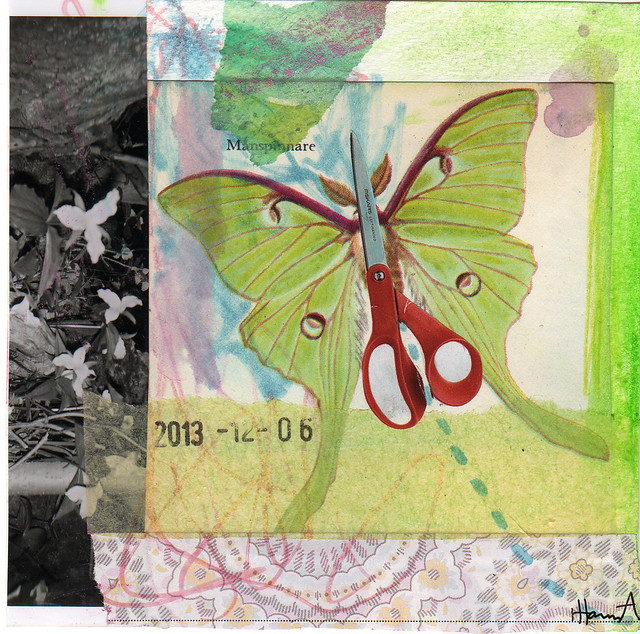 Collage: ButterScissFly  (Copyright Hanna Andersson of www.ihanna.nu)