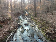 Gunby Creek 