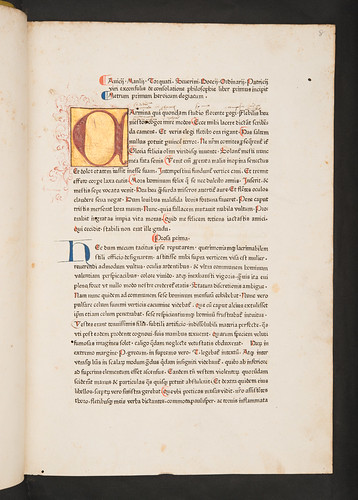 Illuminated initial in Boethius: De consolatione philosophiae