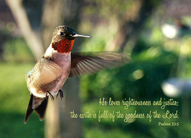 Hummingbird, Scripture, Psalm 33:5, Inspirational
