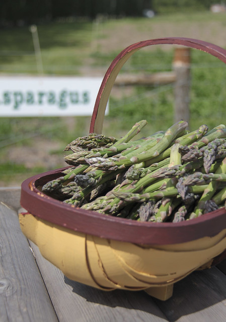 Pick your own asparagus