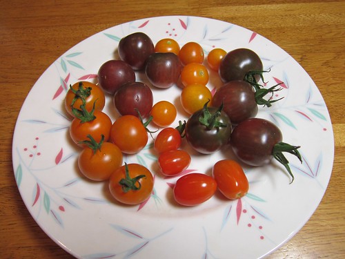 ５種類のミニトマト　2013年8月17日 by Poran111
