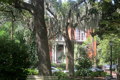 IMG_5502: Savannah Mansion