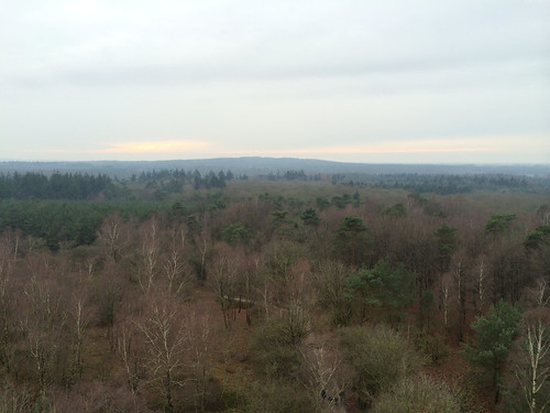View from the tower on the Besthemer Berg in Ommen (NL) over the forest