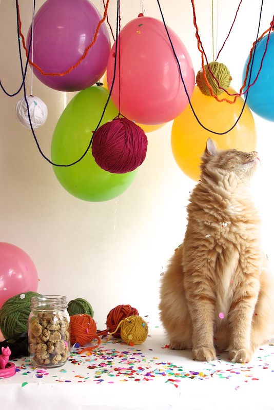 Cat Party with Catnip Yarn Balls | joy the baker