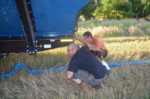 James Kaidence and Theo check out where best to hook the chain on the graincart to pull out the truck