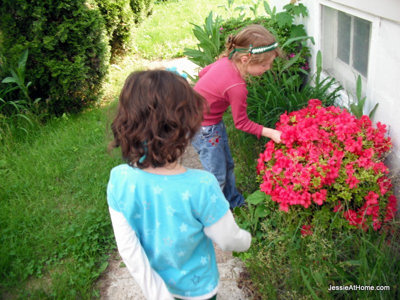 picking-flowers-beside-the-house