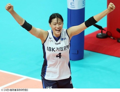 한국여자배구대표팀, 인도에 3-0 완승 : 네이트 스포츠 by michelneung1an