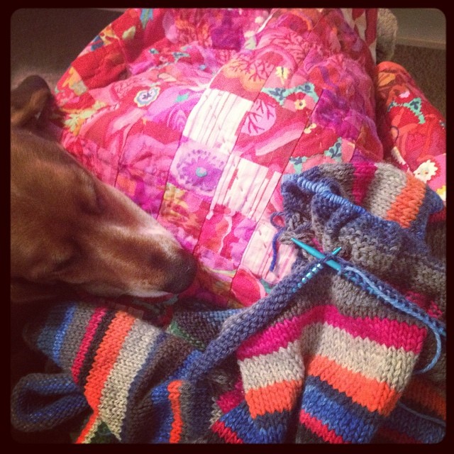 This weather has me longing to finish a sweater! #yearofmaking 7/365  (#staccatokal under my #scrappytrip quilt, with Beau)