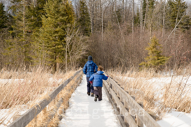 outdoor portrait of brothers on the jack pine trail in winter