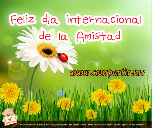 Frases de amor: International Friendship Day Quotes in Spanish