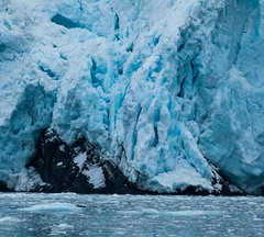 Alaska - Prince William Sound Glacier Cruise