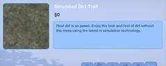 Simulated Dirt Trail