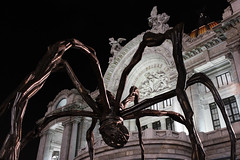 Araña frente a Bellas Artes