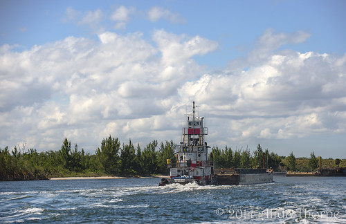 Tug on the St Lucie River by Alida's Photos