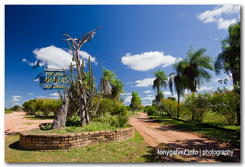 Araras Eco Lodge, Pantanal