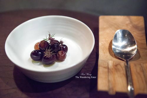 Course 10 - Olives and grapes