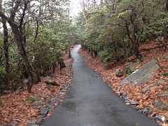 The Rugged Trail 