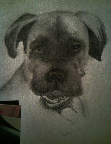 tyson pencil on paper by tracey morgan photography