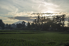 sunrise in Ubud