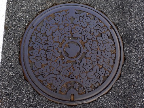 Nagiso Nagano, manhole cover （長野県南木曽町のマンホール）