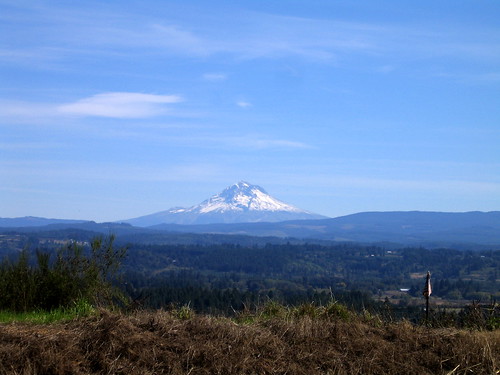 Mount Hood from Springwater Road