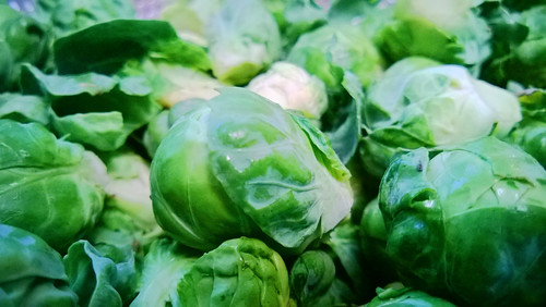 The Great Brussels Sprouts Harvest!